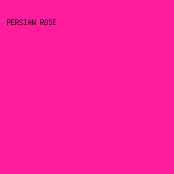 FF1C9E - Persian Rose color image preview