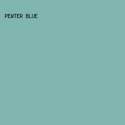 81b5af - Pewter Blue color image preview