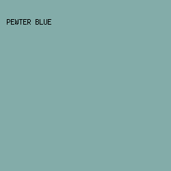 83ACA9 - Pewter Blue color image preview