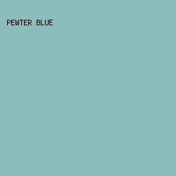 8CBDBD - Pewter Blue color image preview