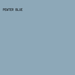 8DA8B8 - Pewter Blue color image preview