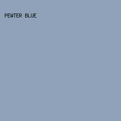 8FA2B9 - Pewter Blue color image preview