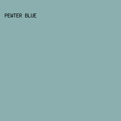 8bafaf - Pewter Blue color image preview