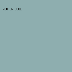 8eaeaf - Pewter Blue color image preview