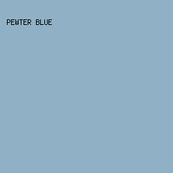 90B1C5 - Pewter Blue color image preview