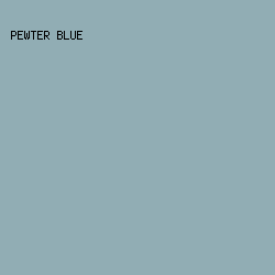91adb4 - Pewter Blue color image preview