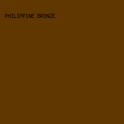 603601 - Philippine Bronze color image preview