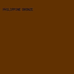 613201 - Philippine Bronze color image preview