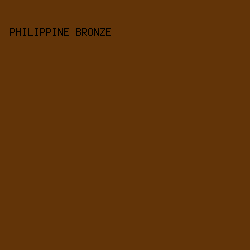 623408 - Philippine Bronze color image preview