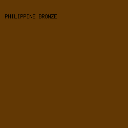 623804 - Philippine Bronze color image preview