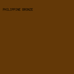 633807 - Philippine Bronze color image preview