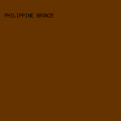 653300 - Philippine Bronze color image preview