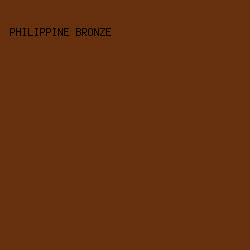 662F0E - Philippine Bronze color image preview