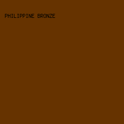663300 - Philippine Bronze color image preview