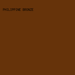 66330a - Philippine Bronze color image preview