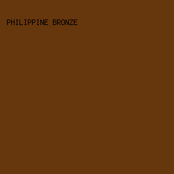 66360C - Philippine Bronze color image preview