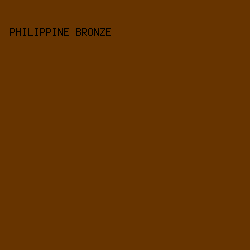 673400 - Philippine Bronze color image preview