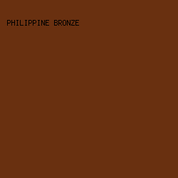 693010 - Philippine Bronze color image preview