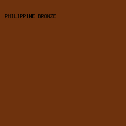 6E320D - Philippine Bronze color image preview