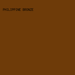 6E3B09 - Philippine Bronze color image preview