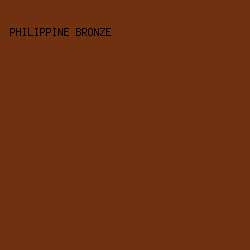 6F3110 - Philippine Bronze color image preview