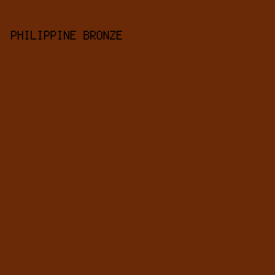 6b2a07 - Philippine Bronze color image preview