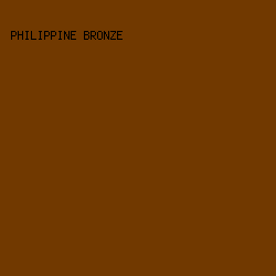 713900 - Philippine Bronze color image preview