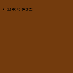 733b0d - Philippine Bronze color image preview