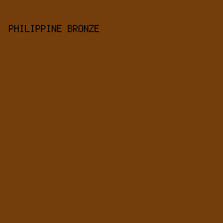 743E0C - Philippine Bronze color image preview