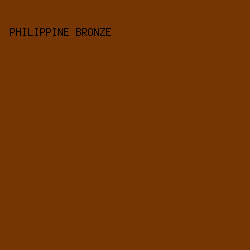 763504 - Philippine Bronze color image preview