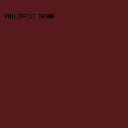 58191c - Philippine Brown color image preview