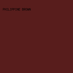 581D1C - Philippine Brown color image preview