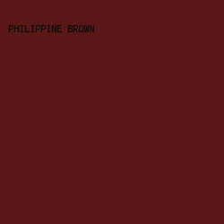 591718 - Philippine Brown color image preview