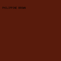 591B0C - Philippine Brown color image preview
