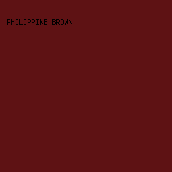 5E1214 - Philippine Brown color image preview