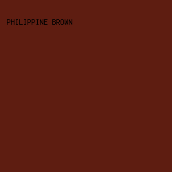 5E1D11 - Philippine Brown color image preview