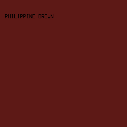 5d1916 - Philippine Brown color image preview