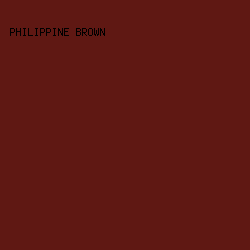 5f1813 - Philippine Brown color image preview