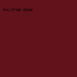 62121B - Philippine Brown color image preview