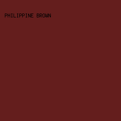 641e1d - Philippine Brown color image preview