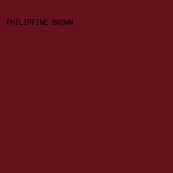 66121d - Philippine Brown color image preview
