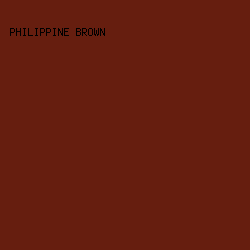 661E0F - Philippine Brown color image preview