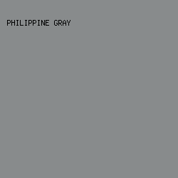 888b8c - Philippine Gray color image preview