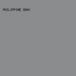 8A8C8D - Philippine Gray color image preview