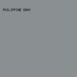 8A8F92 - Philippine Gray color image preview