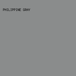 8a8c8c - Philippine Gray color image preview