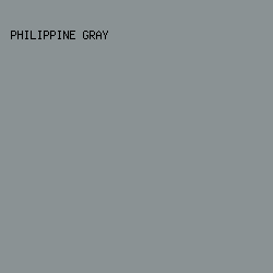 8a9294 - Philippine Gray color image preview