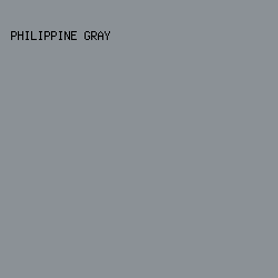 8b9196 - Philippine Gray color image preview