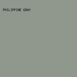 90988e - Philippine Gray color image preview