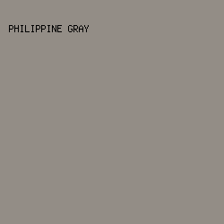 938D86 - Philippine Gray color image preview